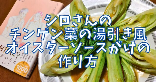 チンゲン菜の湯引き風 オイスターソースがけ1