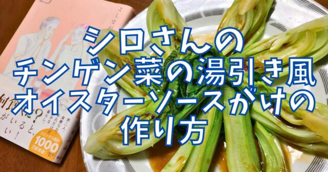 チンゲン菜の湯引き風オイスターソースがけ